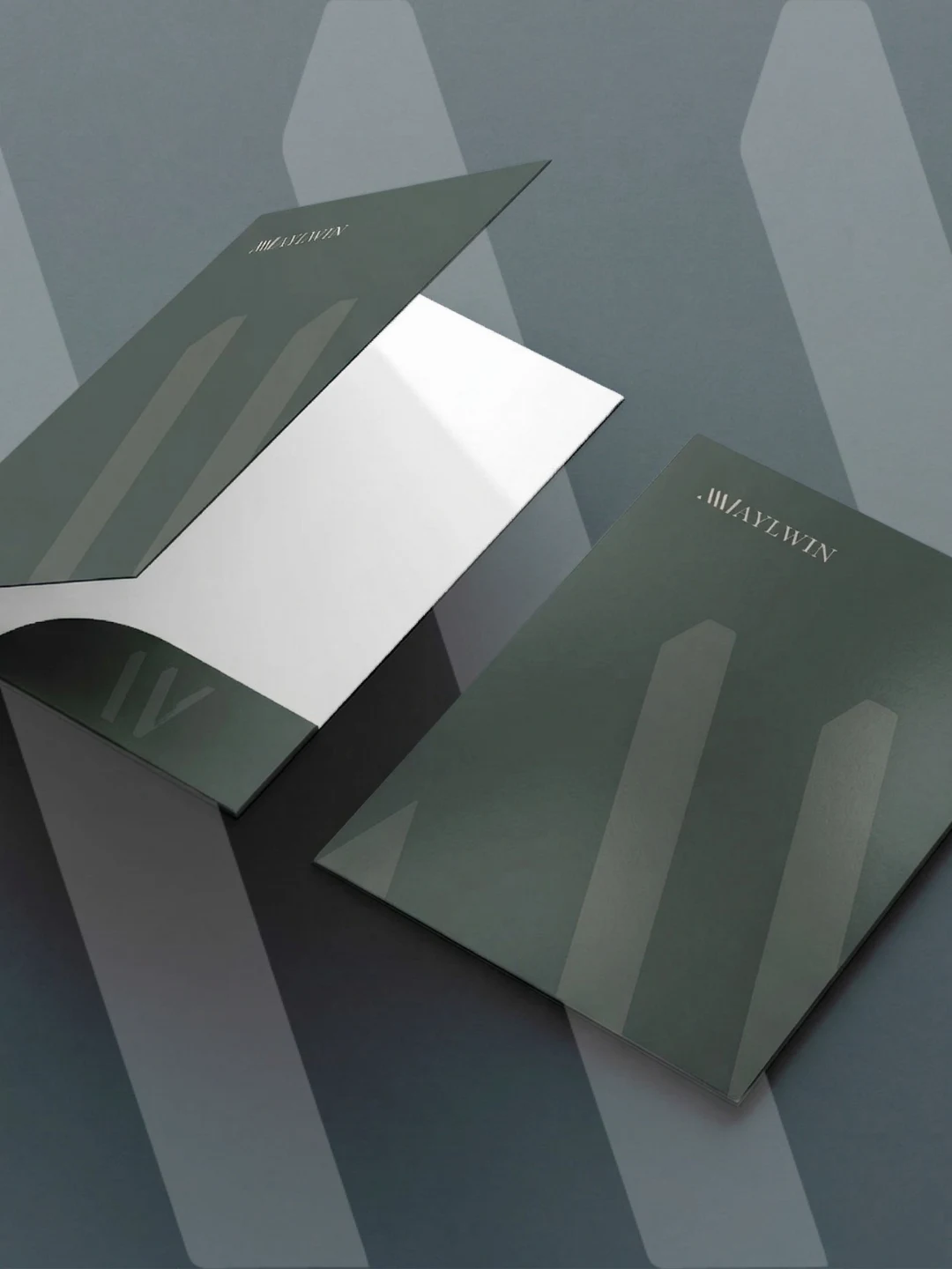 Aylwin — Rebranding | Rediseño Web